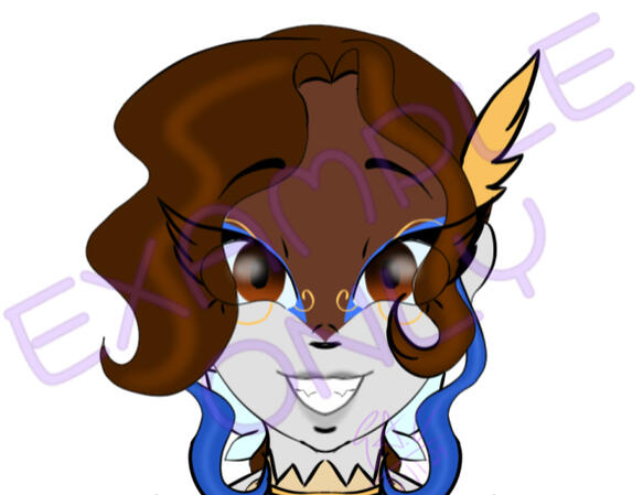 Head Color Head Color of Train Sona
